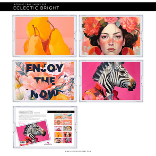 Eclectic Bright Tray Inserts