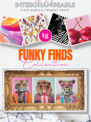 Funky Finds Trinket Tray Insert Set