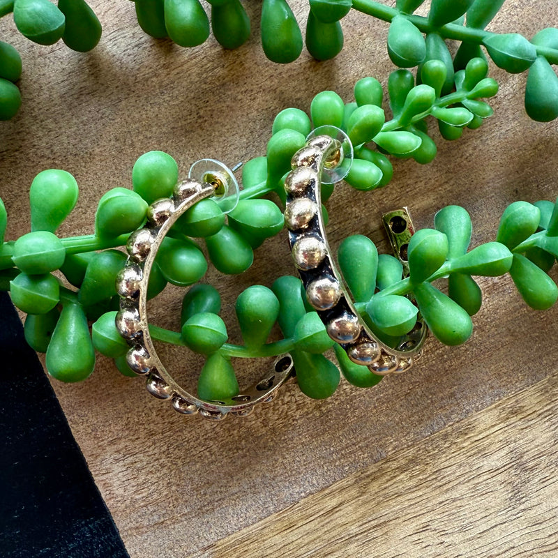 Gold Dot Md Hoop Earring