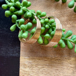 Gold Wired Wide Hoop Earrings