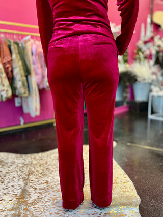 Red Velvet Wide Leg Pants