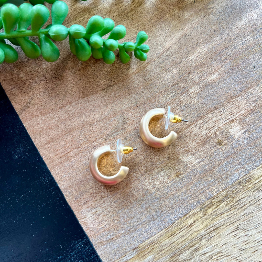 Polished Gold Double Wide Hoop Earring
