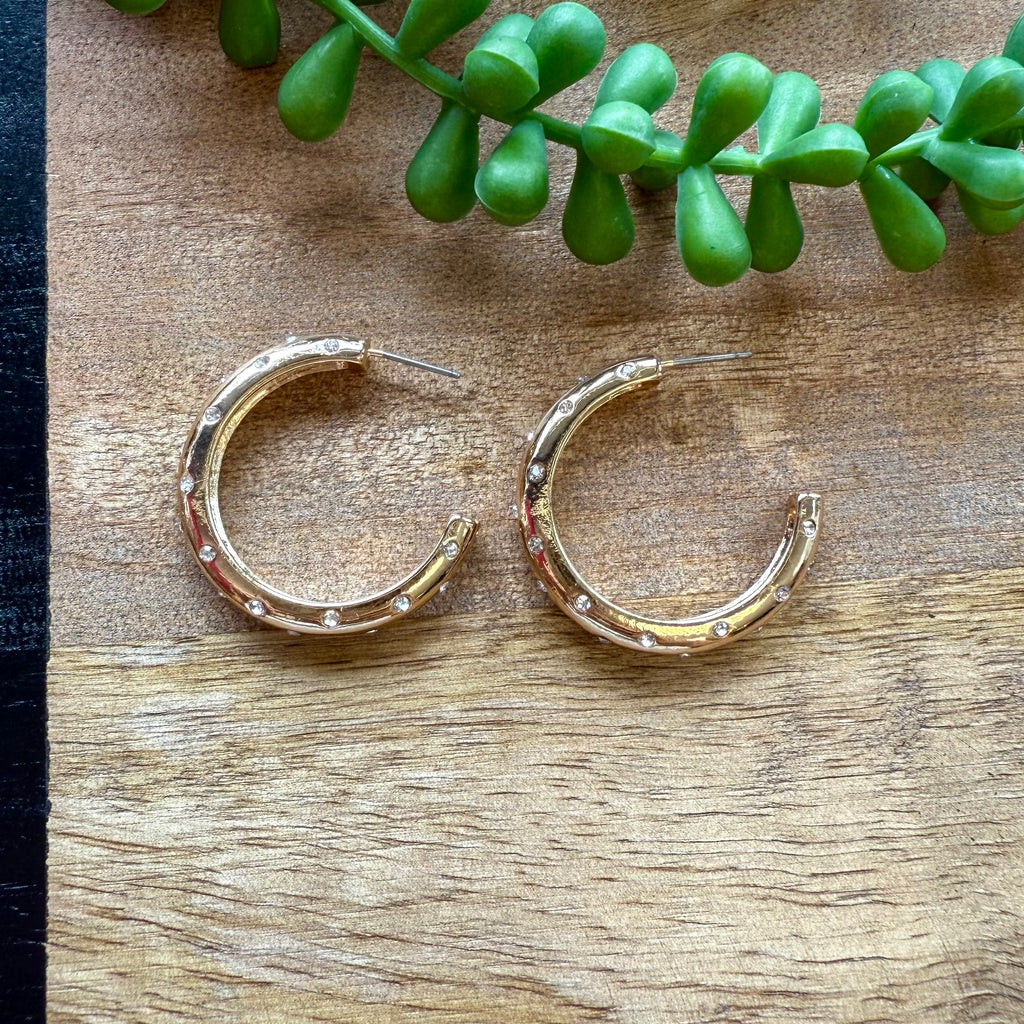 Gold & Crystal Md Hoop Earrings