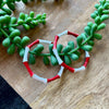 Red & White Bamboo Hoop Earring