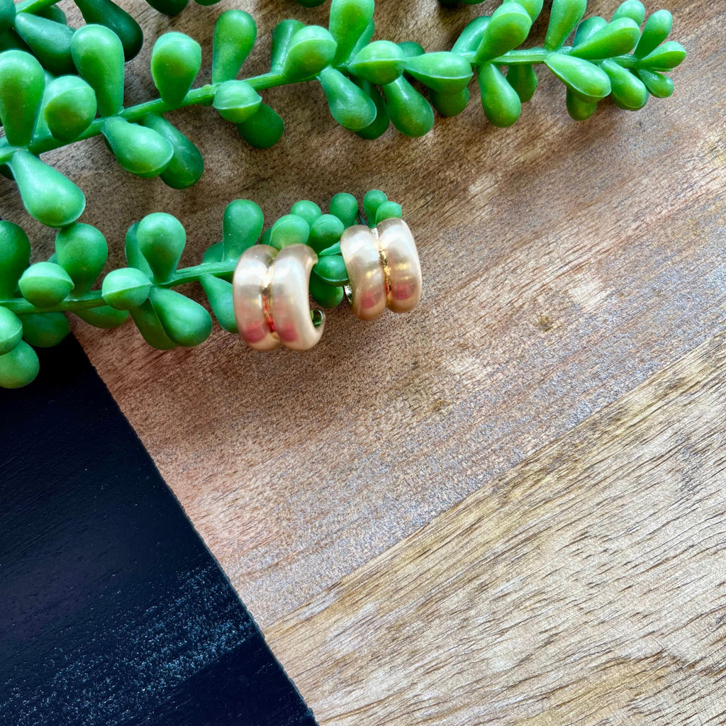 Polished Gold Double Wide Hoop Earring