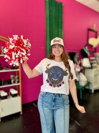 PRE-ORDER Big Bling Toro Graphic Tee