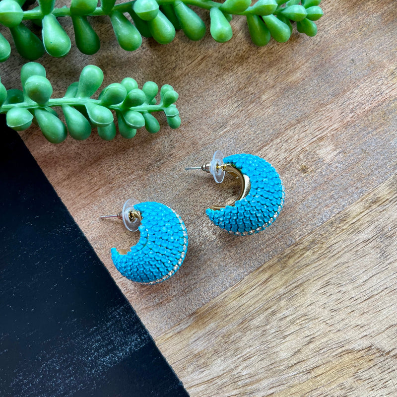 Blue Crystal Wide Sm Hoop Earrings