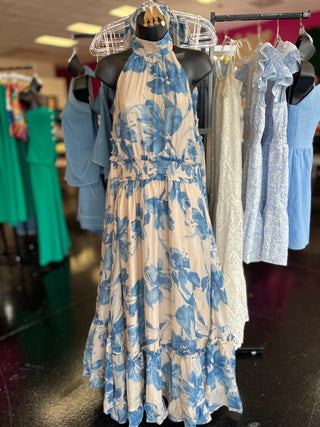 Cream & Blue Floral Maxi Dress