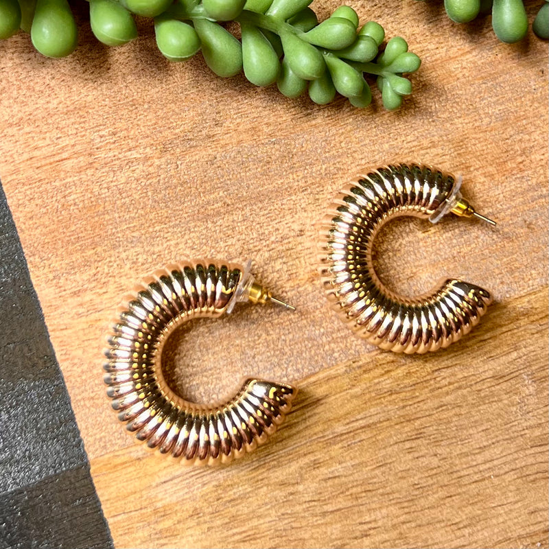 Gold Thick Coil Hoop Earrings