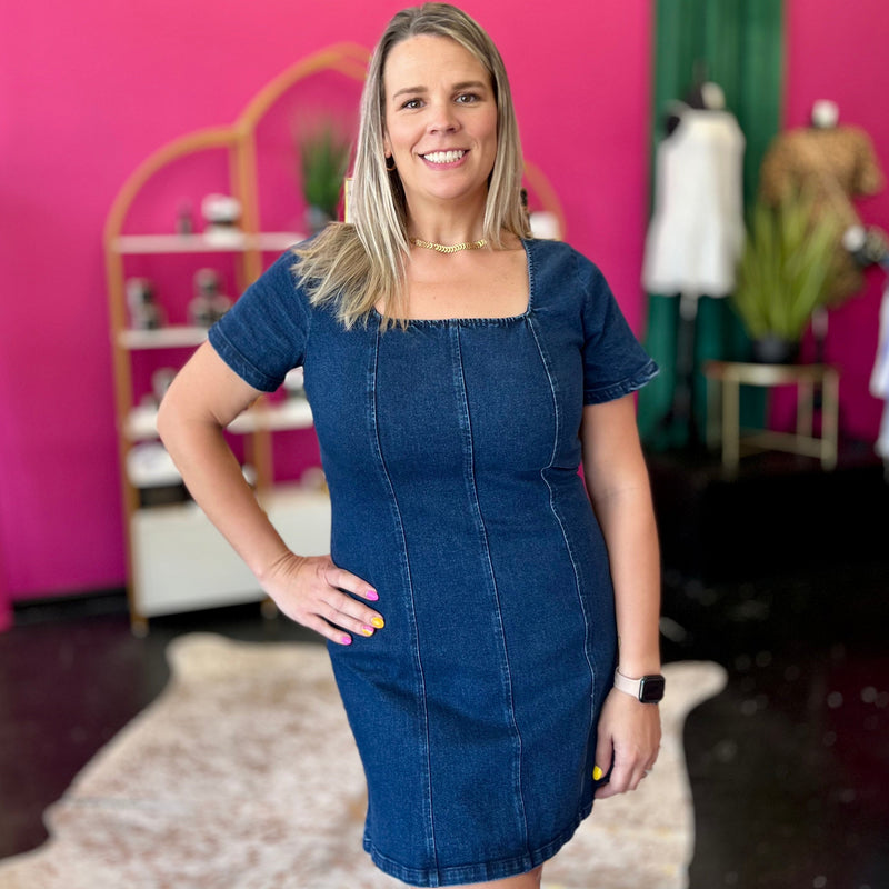 Dark Denim Front Seam Dress