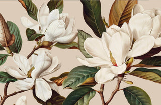 Close-up of white flowers with green leaves on a beige background